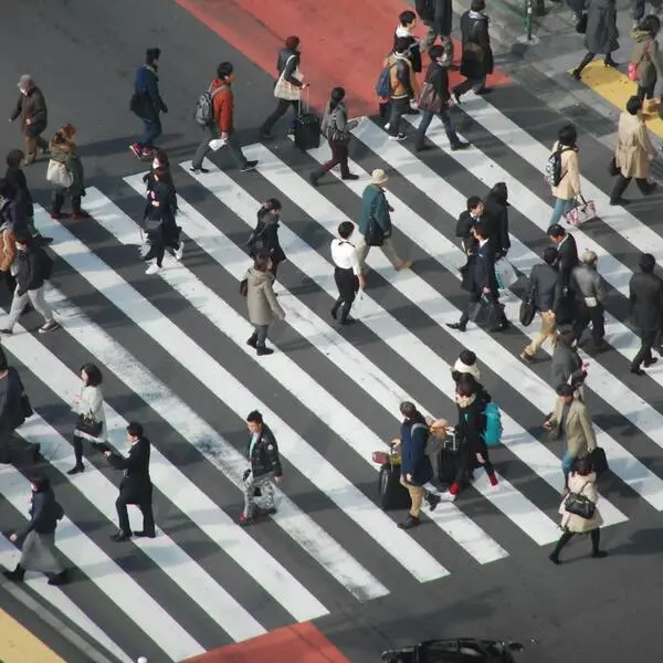 Best Time to Visit Japan for Every Budget and Crowd Level