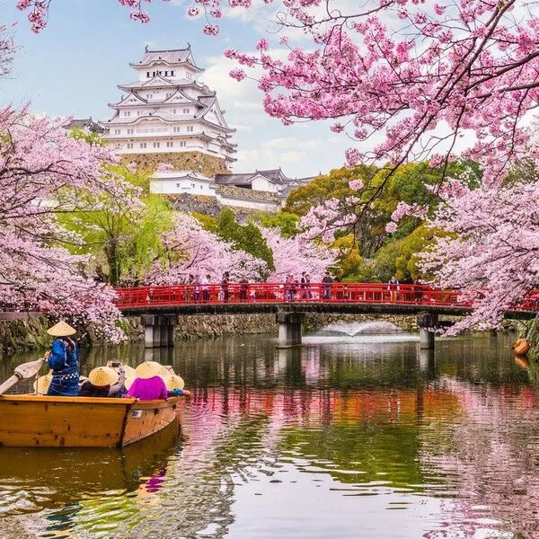When Japan Shines: A Seasonal Breakdown for Every Traveler