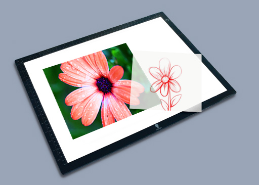 Thin Light Box
