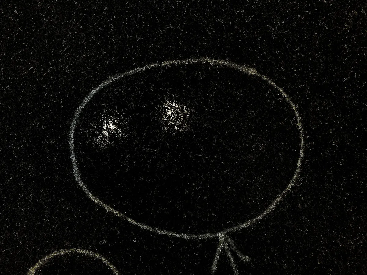 Carpet Inspection Test