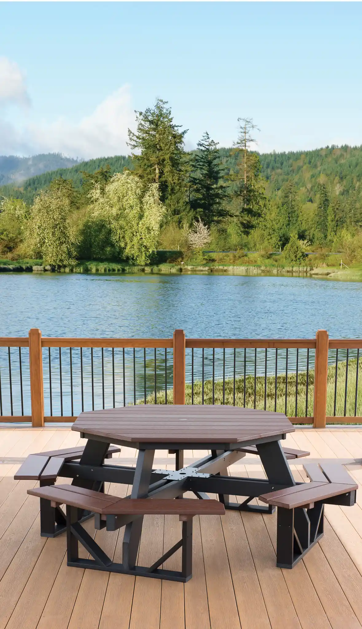 Benches and Picnic Tables