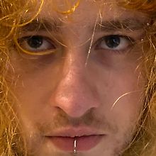 Rod