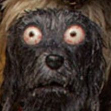John