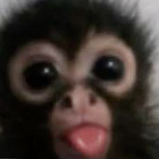 Lauraaaaaaaaaaaaaaaa