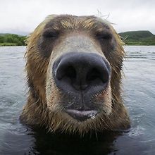 finnegan