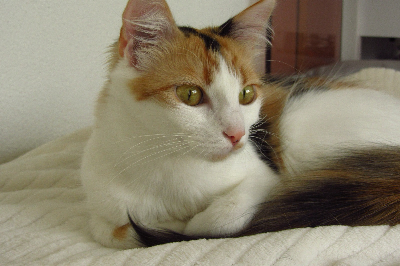 Marlena