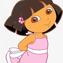 Aster Flores