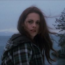 bea