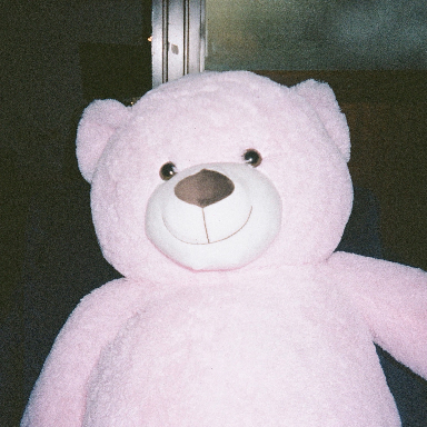 pink bear