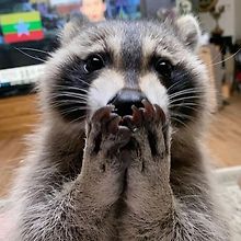 cabeaw