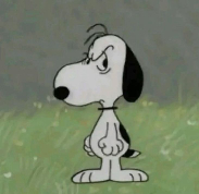 pat