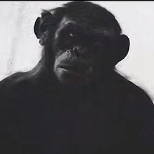 Jack Mccoull