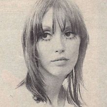 stella