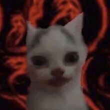 geeb