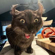 Elias