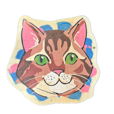 Pancake art depicting a cat face named Scott, shown front-facing with large green eyes, a pink nose, white muzzle with dot markings, white whiskers, and brown tabby striping across the forehead and cheeks, set against a background of pink and blue blotch shapes on a cream-colored base. Rendered wit…