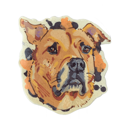 Pancake art: Dan
