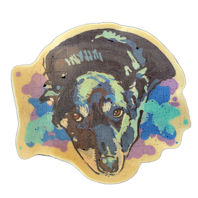 Pancake art portrait of a dog named Sissy, shown from the front with dark fur, amber-brown eyes, and a broad rounded head with floppy ears; colorful abstract splashes in blue, teal, purple, and lavender spread outward from either side of the face against a pale golden background. The portrait uses…