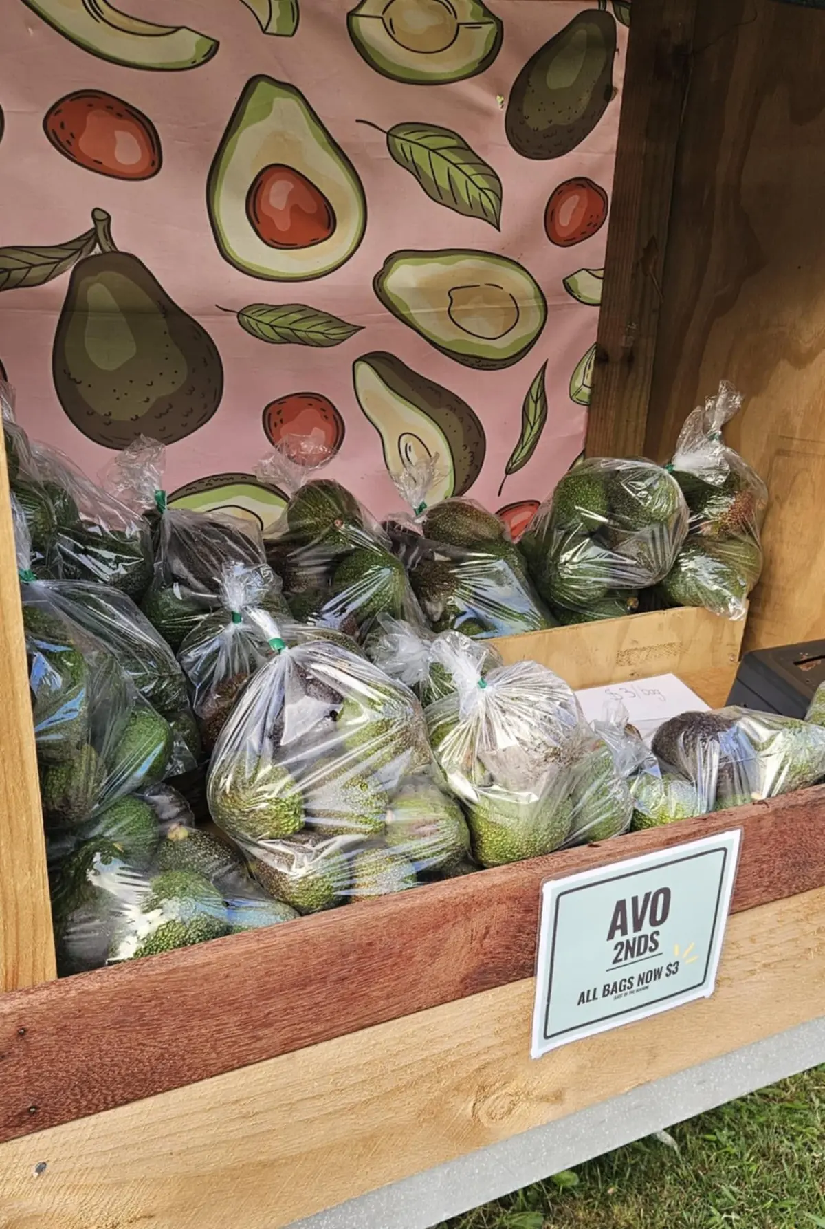 Avocados in a box