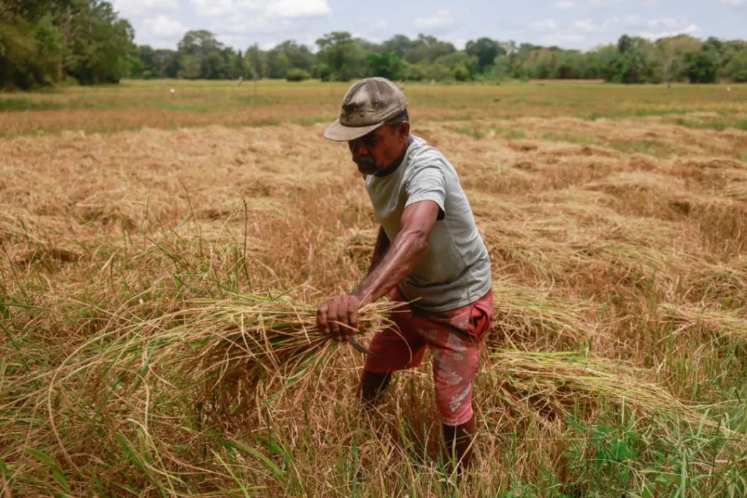 Rice issue: No plans yet on revamping PMB | The Morning
