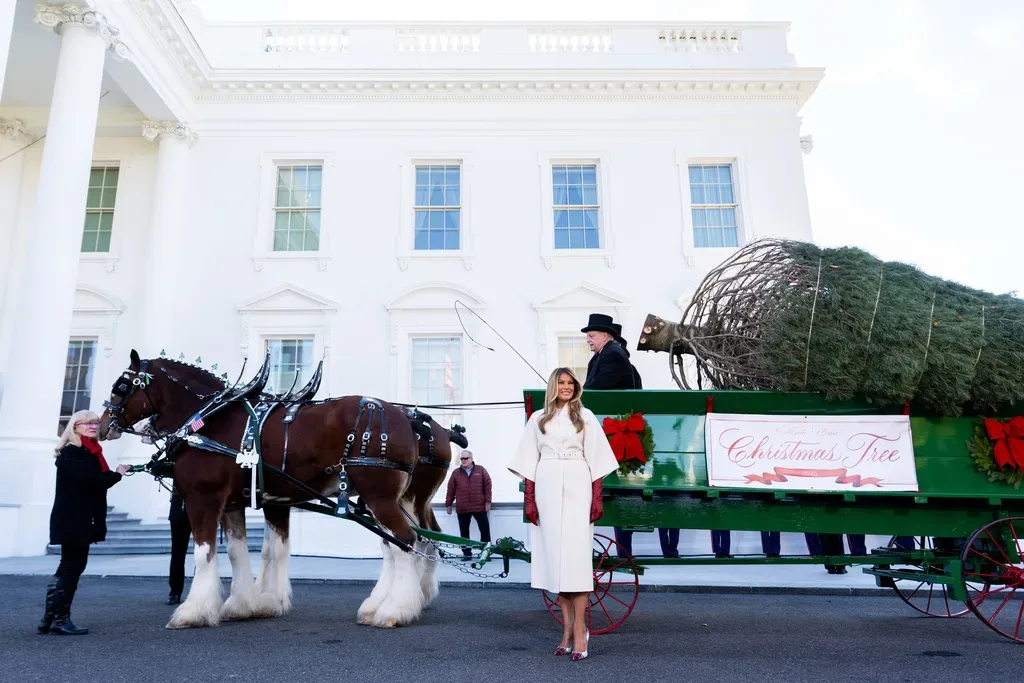 Melania Trump welcomes Christmas tree to the White House | The Morning