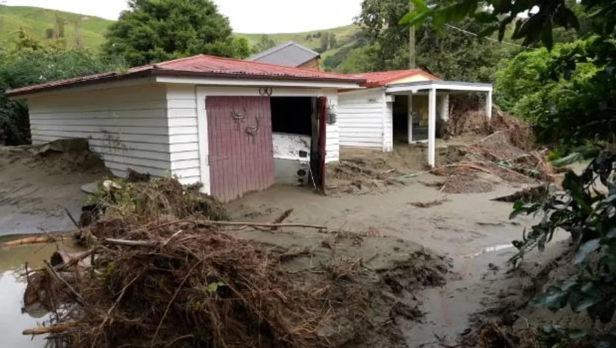 Over 20,000 houses planned under post-cyclone rebuilding | The Morning