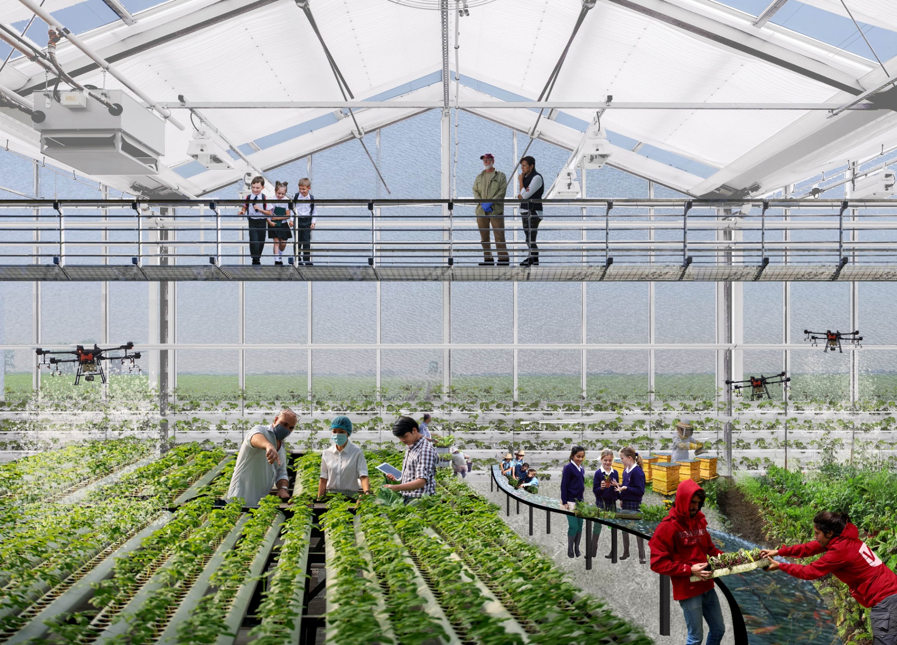 Five year plan launched to strengthen rural tech and innovation hub ...
