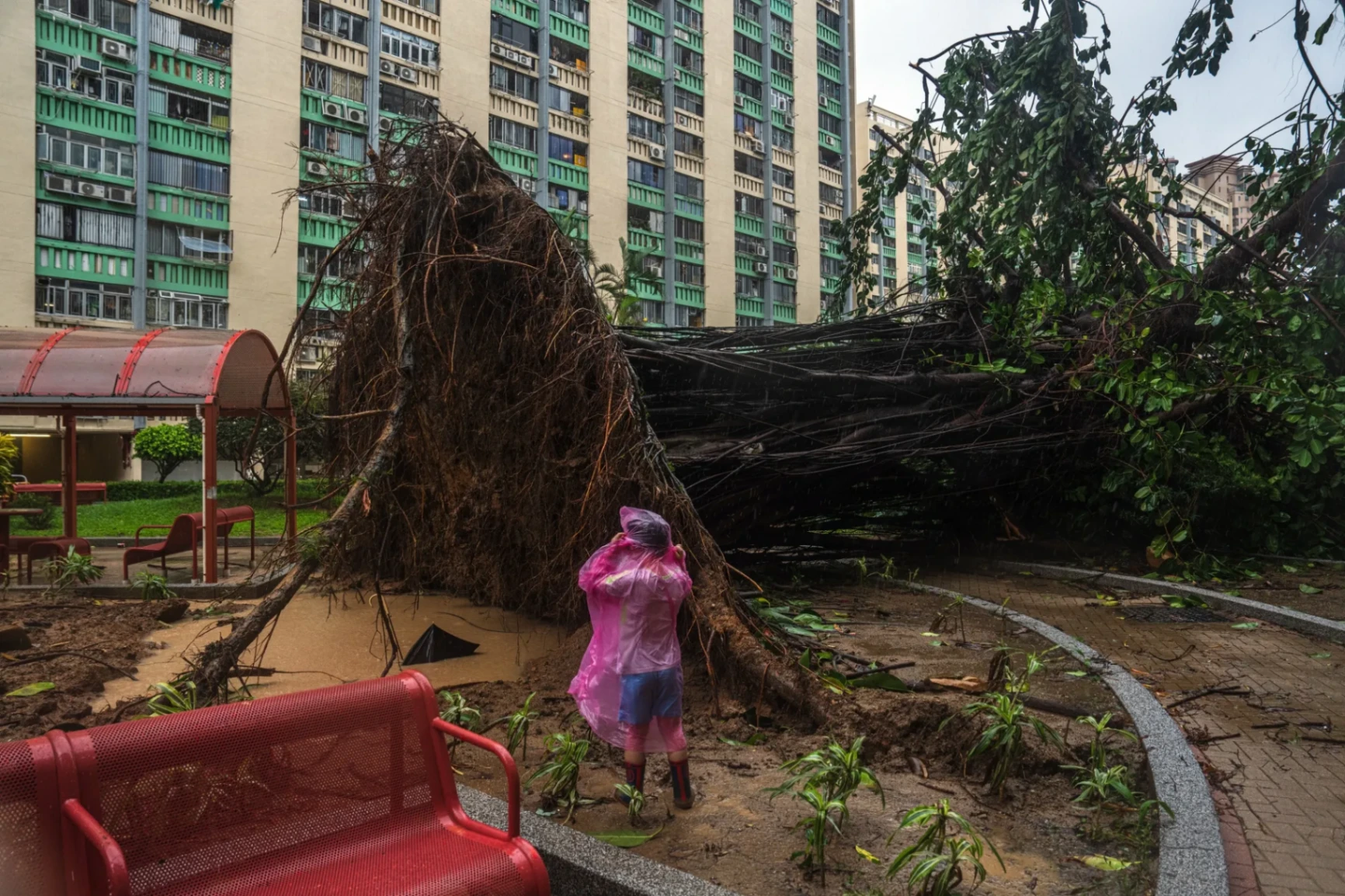 Hong Kong reopens after world's most powerful cyclone Ragasa | The Morning