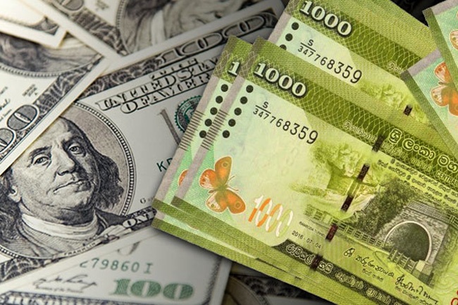 USD/LKR spot rate surpasses Rs. 310 mark for first time since 2024 ...