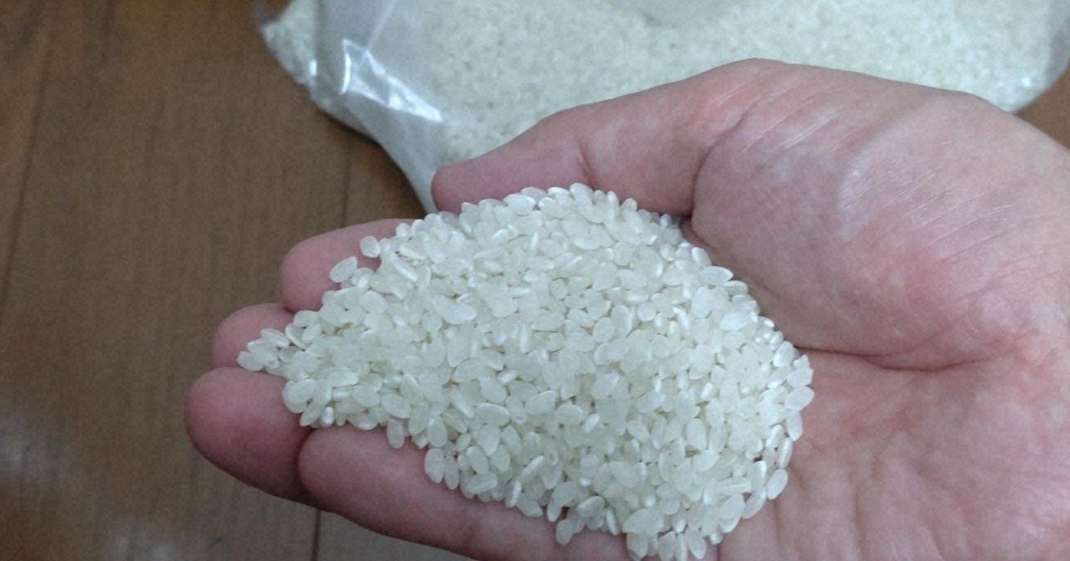 Rice shortages: Prices to stay high until year-end? | The Morning