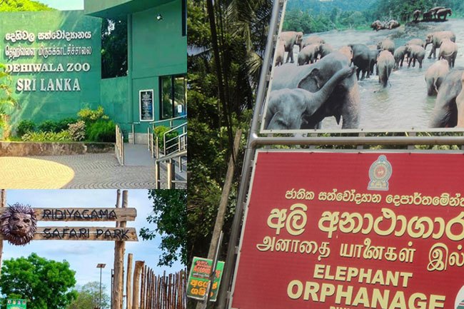 All zoos open for public | The Morning