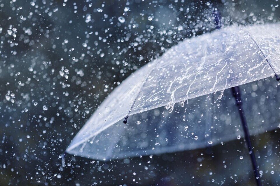 Heavy rain and thundershowers expected across the island | The Morning