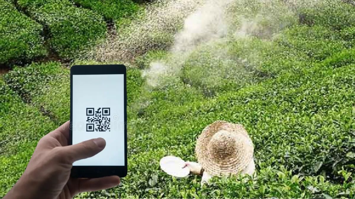 New QR scheme resolves issues in tea fertiliser subsidy | The Morning