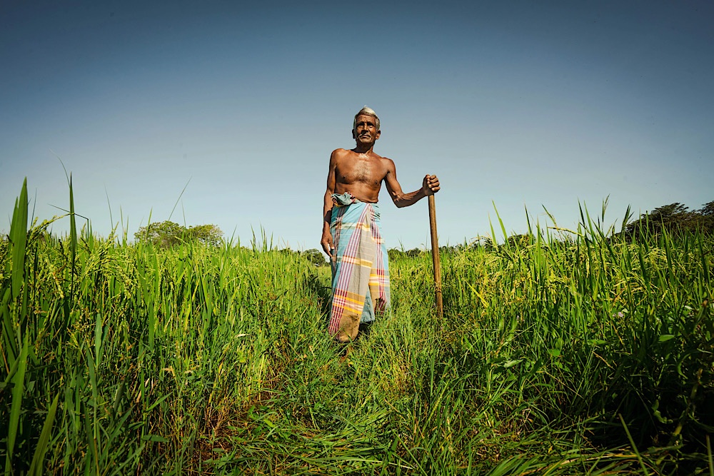 Over 66,000 farmers receive disaster relief - Dept of Agriculture | The ...