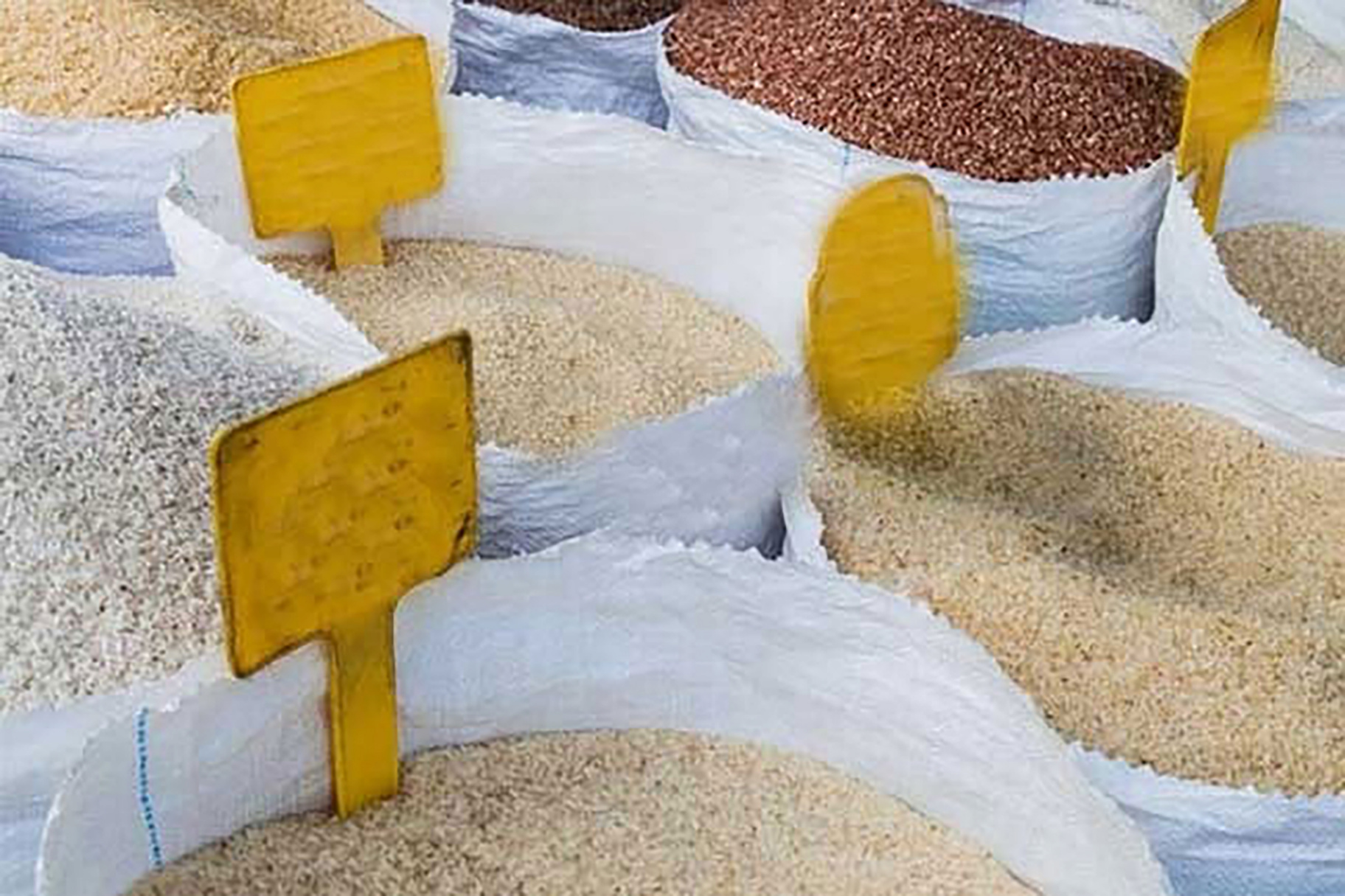 Rice price and quality: CAA takes legal action against 900 vendors ...