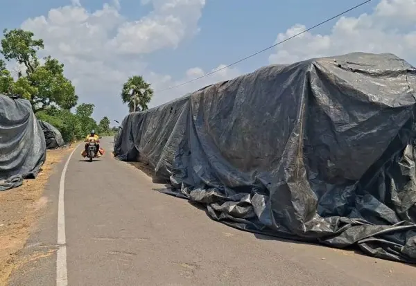 சேத்தியாத்தோப்பு நெடுஞ்சாலையில் ஆயிரக்கணக்கான நெல் மூட்டைகள் குவிப்பு: விபத்து அபாயம் குறித்து பொதுமக்கள் அச்சம்