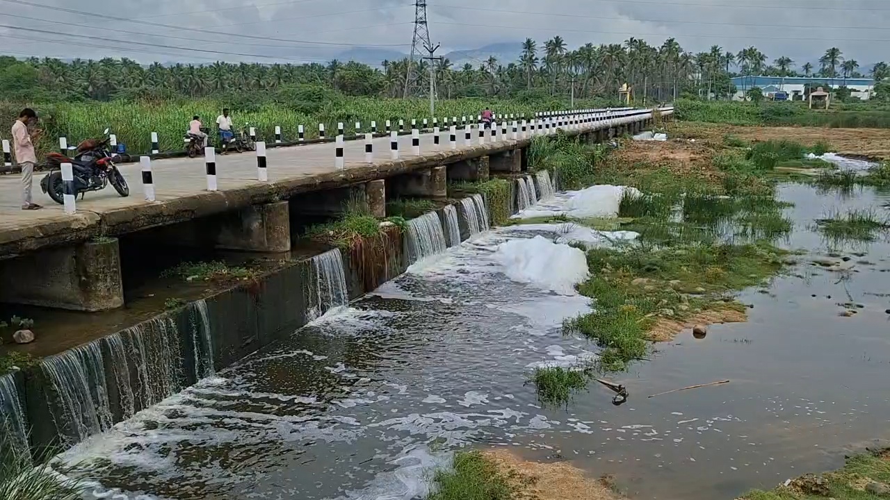 பாலாற்றில் கலக்கும் தோல் தொழிற்சாலை கழிவுநீர்