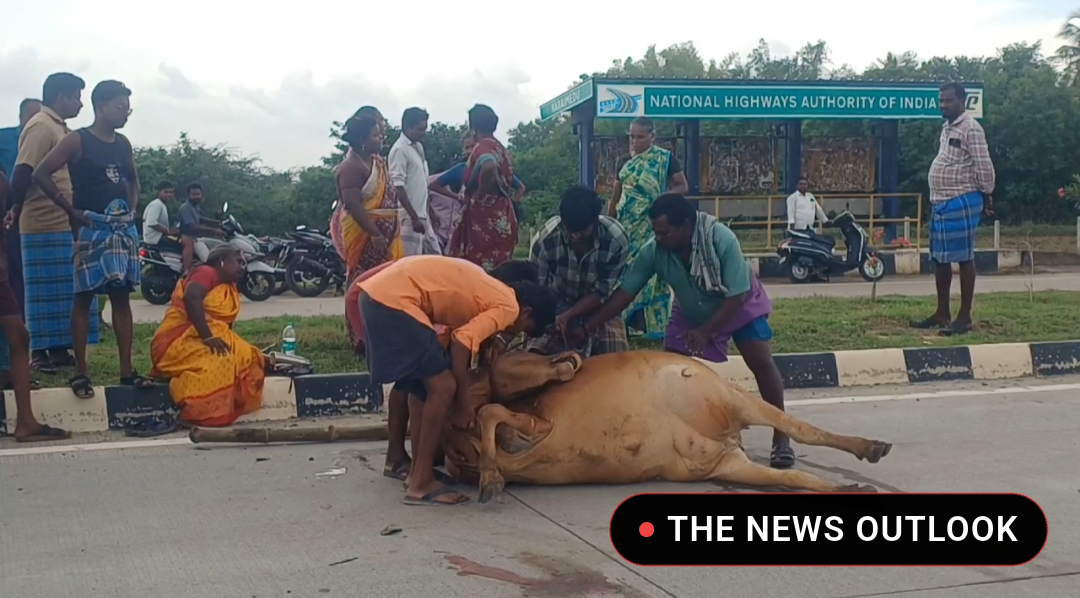 சீர்காழி அருகே மாடு மீது கார் மோதி கோர விபத்து: 7 பேர் படுகாயம்! - 3
