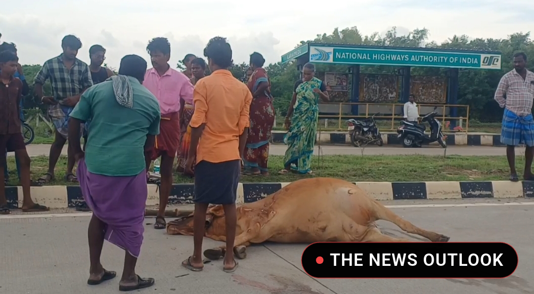 சீர்காழி அருகே மாடு மீது கார் மோதி கோர விபத்து: 7 பேர் படுகாயம்! - 4