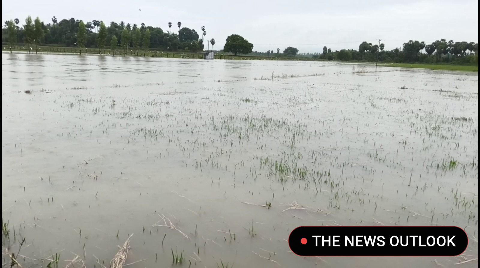 விடிய விடிய கொட்டிதீர்த்த மழை: கோபி பகுதியில் ஆர்ப்பரித்து ஓடும் வெள்ளம்! - 2