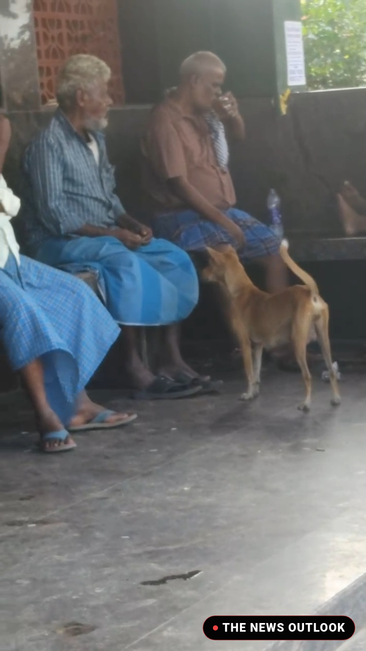 பேருந்து நிழற்கூடங்கள் மது அருந்தும் இடமாக மாறுவது சரியா? பொதுமக்கள் வேதனை