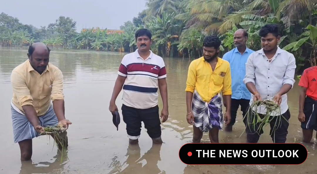 20 ஏக்கர் சம்பா பயிர்கள் மழைநீரில் மூழ்கி சேதம் - ஆட்சியரிடம் விவசாயிகள் முறையீடு - 4