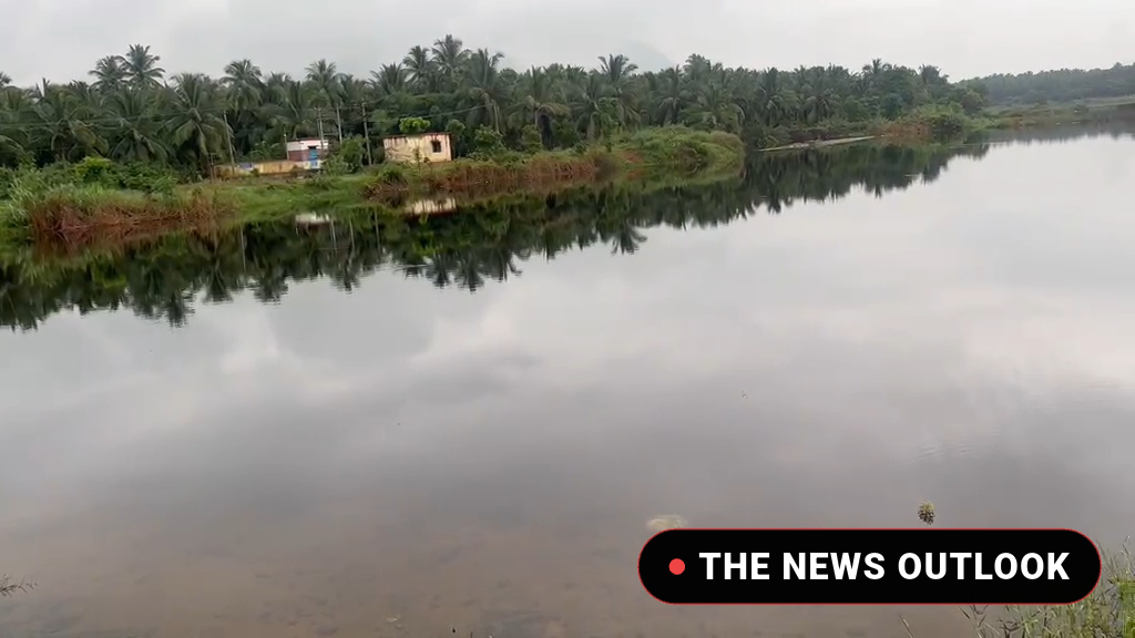 மாதனூர் பாலாற்றில் இறந்த கோழிகள் வீச்சு - பொதுமக்கள் அதிர்ச்சி - 4