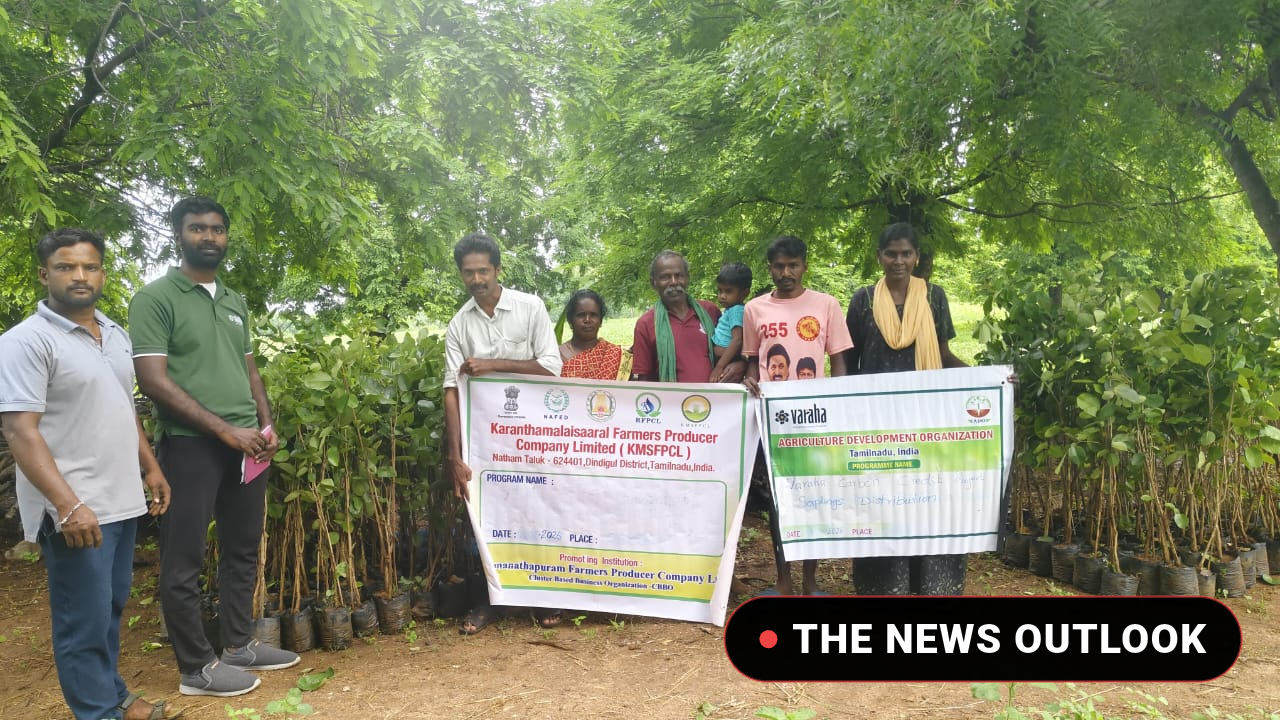 தரிசு நிலத்தில் கார்பன் கிரெடிட் திட்டம்