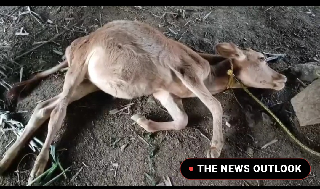 வேலூர்: வெடிமருந்து கிடங்கு வெடித்து கட்டிடம் தரைமட்டம் - 5