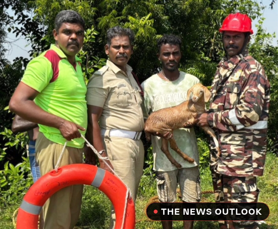 விருதுநகர்: 80 அடி கிணற்றில் விழுந்த ஆட்டுக்குட்டி மீட்பு