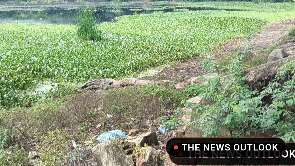 திருவிடைக்கழி முருகன் கோயில் குளம்: 50 ஆண்டுகளாக பராமரிப்பின்றி அவதி