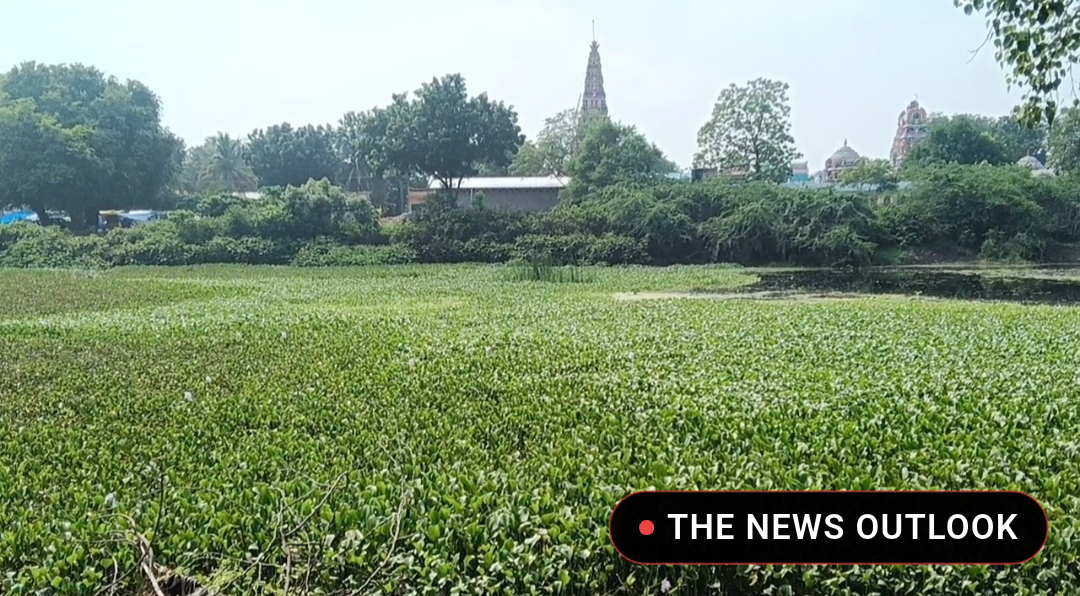 திருவிடைக்கழி முருகன் கோயில் குளம்: 50 ஆண்டுகளாக பராமரிப்பின்றி அவதி - 2