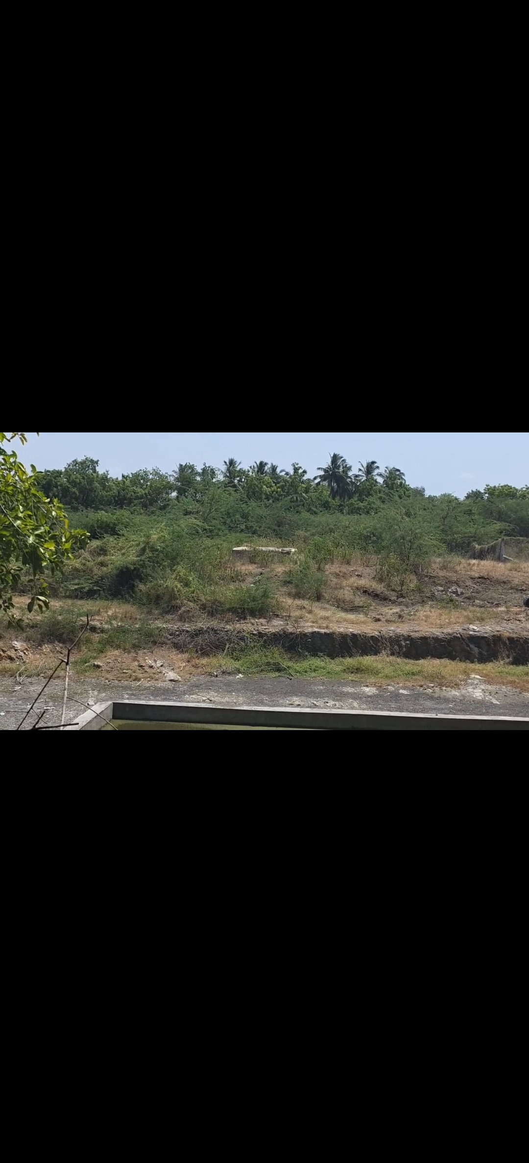 18 ஆண்டுகளுக்குப் பின் தூர்வாரப்படும் வீரப்புலி ஊரணி - சொந்தச் செலவில் பணியைத் தொடங்கி வைத்தார் உயர் நீதிமன்ற நீதிபதி புகழேந்தி