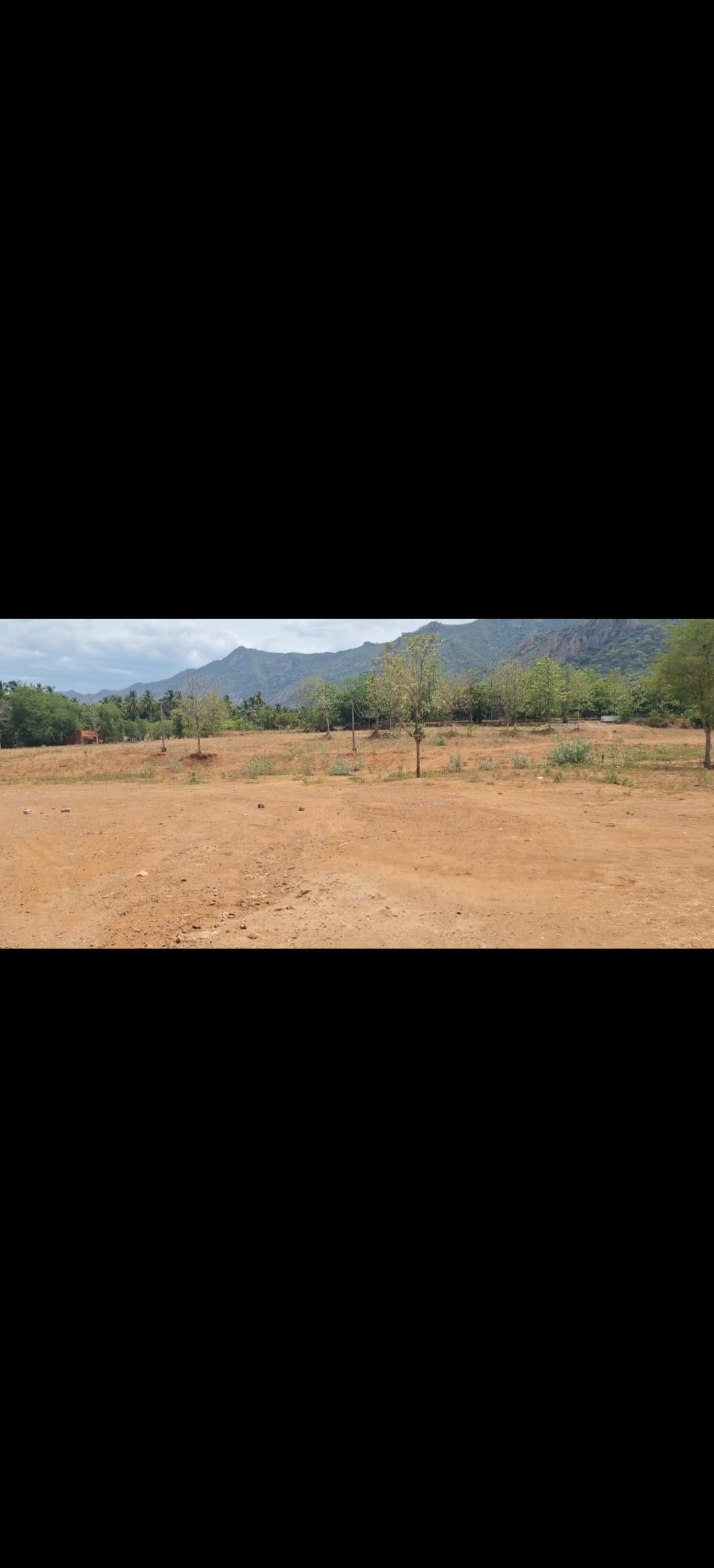 விருதுநகர் மாவட்டம் சதுரகிரியில் ஆடி அமாவாசை திருவிழாவிற்கு பக்தர்கள் கூடும் அடிவாரப் பகுதியில் அடிப்படை வசதிகளை செய்து கொடுக்க ஊராட்சி நிர்வாகம் தாமதப்படுத்துவதாக பக்தர்கள் குற்றச்சாட்டு!
